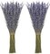 Dried Lavender Bundles 100 Natural Dried Lavender Flowers for Home Decoration, Photo Props, Home Fragrance, 2 Bundles Pack